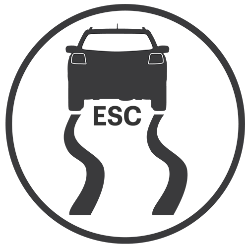 ICON-_0007_ESC-Ready