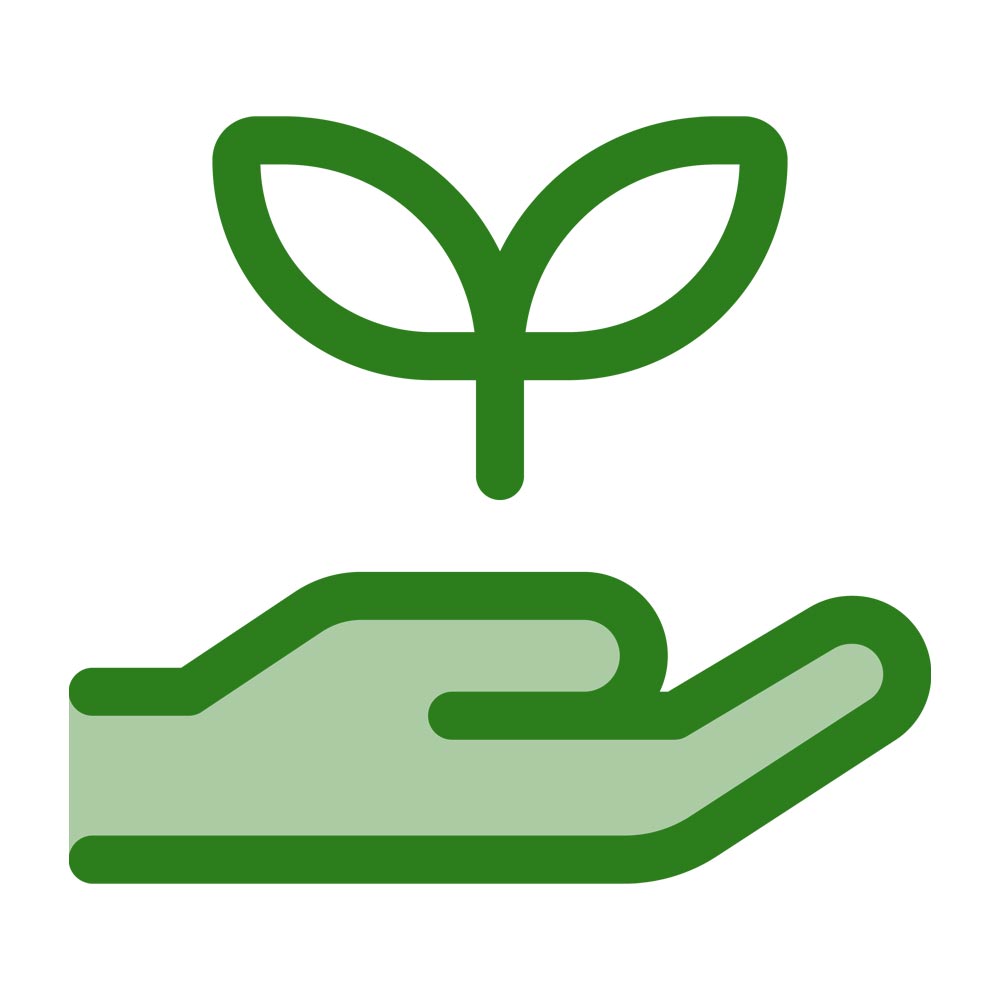 seedling-icon